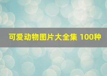 可爱动物图片大全集 100种